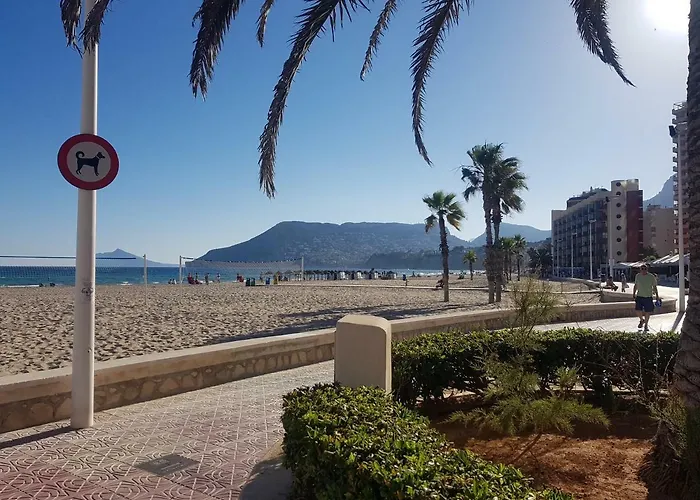 Romero Arenal * Calp